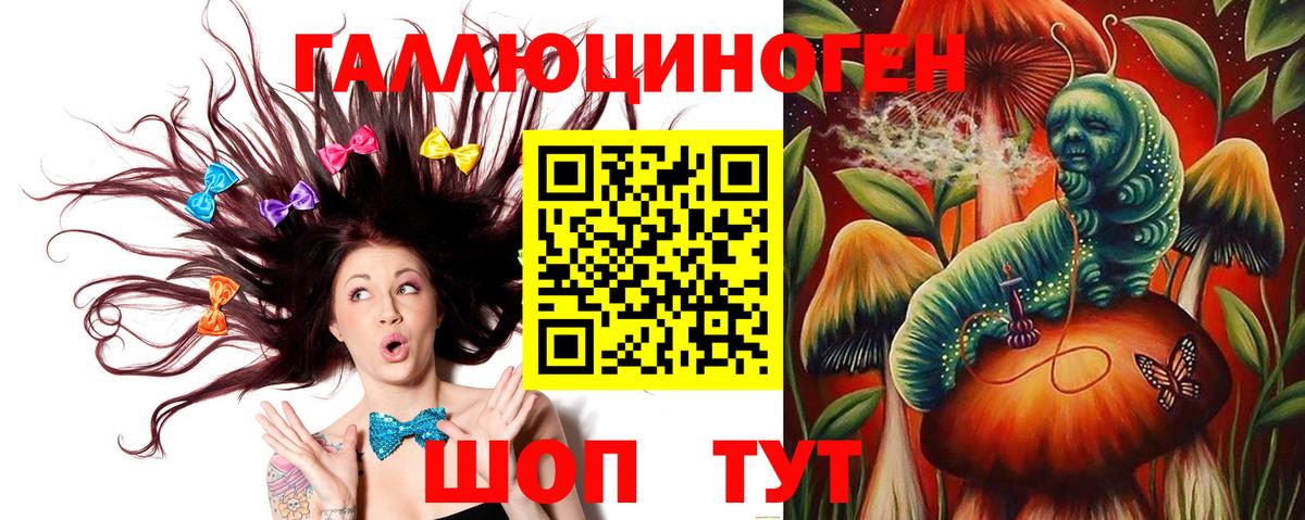 Псилоцибиновые грибы Cubensis Брянск