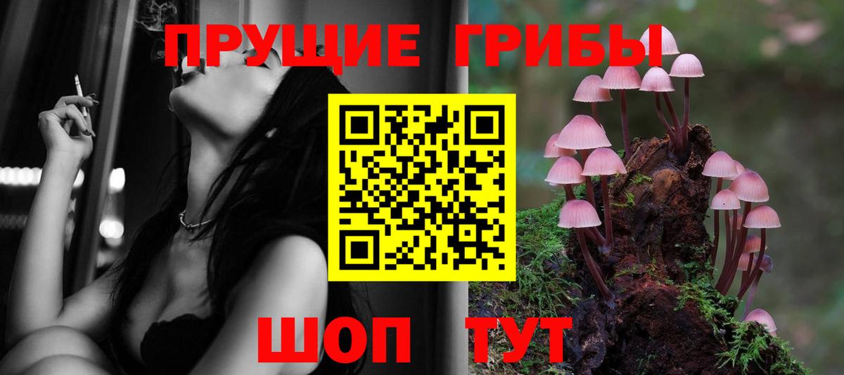 наркота  Галлюциногенные грибы MAGIC MUSHROOMS  Брянск  Вход с VPN  Псилоцибиновые грибы Psilocybe 